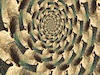 Spiral dance