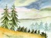 Tannen [cosch, Aquarell]