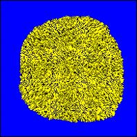 Kolonie mit reichlich Nahrung