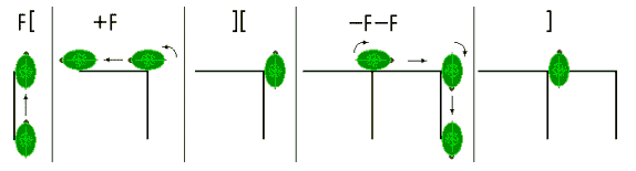 Schildkröte interpretiert F[+F][-F-F]F