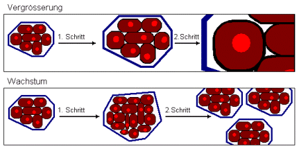 vergrößern / wachsen